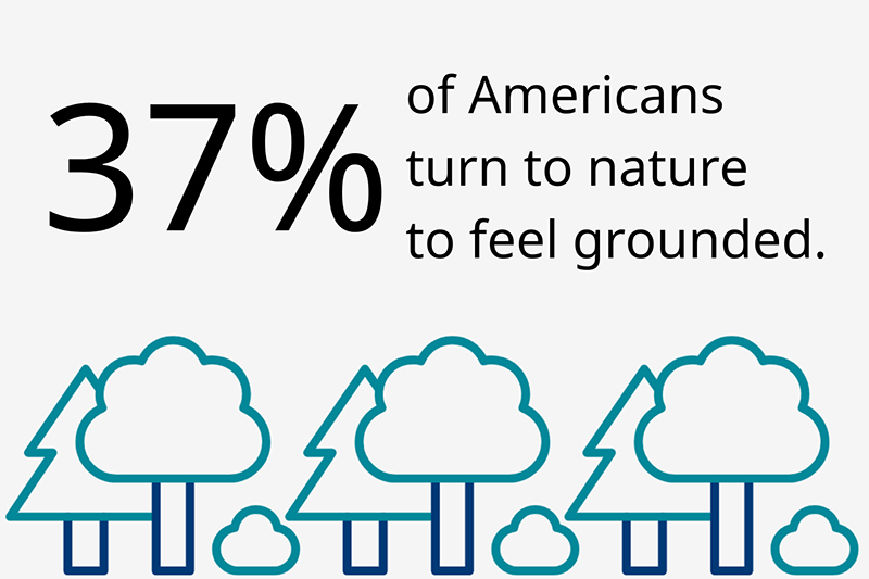 An infographic with tree icons illustrating that many Americans turn to nature to feel grounded. An infographic with tree icons illustrating that many Americans turn to nature to feel grounded.